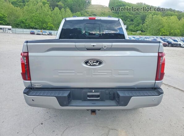 1FTFW3LD0SFB66186 2025 FORD F150 Silver Вид ззаду