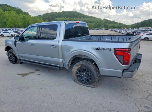 1FTFW3LD0SFB66186 2025 FORD F150 Silver Задня ліва чверть