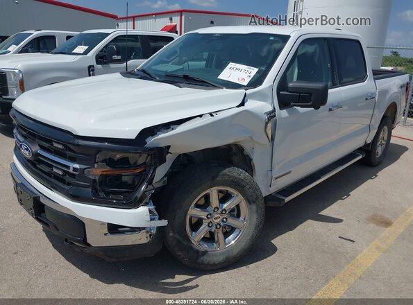 1FTFW3LD1RFB20330 2024 FORD F150 White Widok z przodu