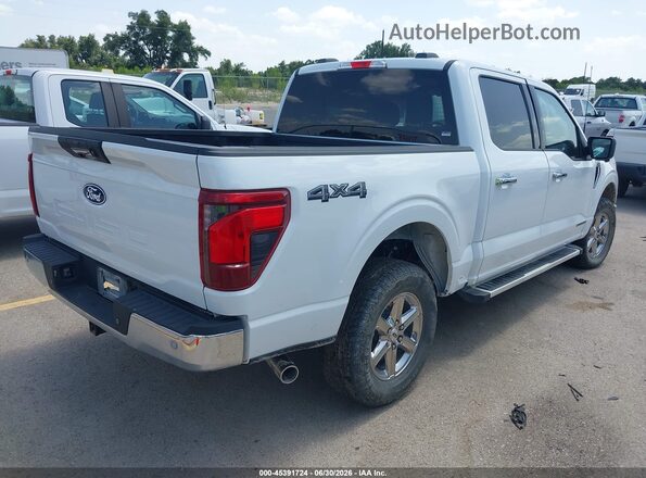 1FTFW3LD1RFB20330 2024 FORD F150 White Tył prawy