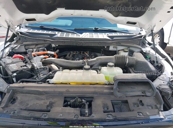 1FTFW3LD1RFB20330 2024 FORD F150 White Widok z tyłu