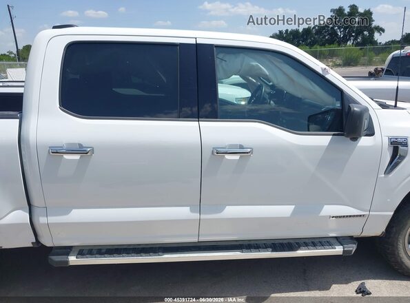 1FTFW3LD1RFB20330 2024 FORD F150 White 