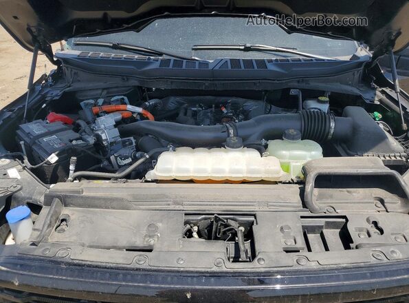 1FTFW3LD1RFC10724 2024 FORD F150 Black Vista interior trasera