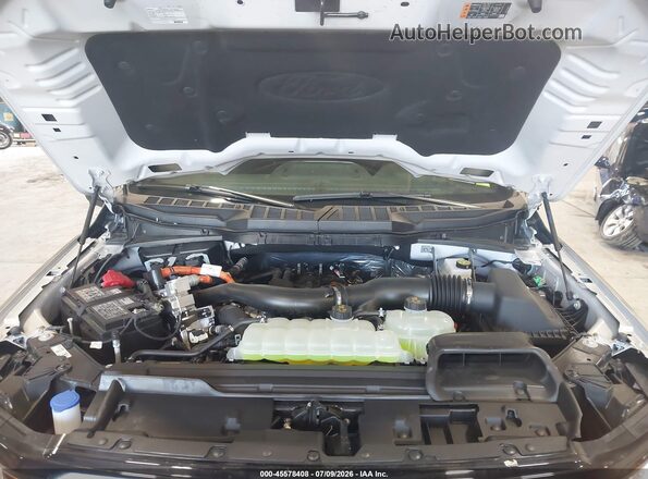 1FTFW3LD1SFC01284 2025 FORD F150 Gray უკანა ხედი