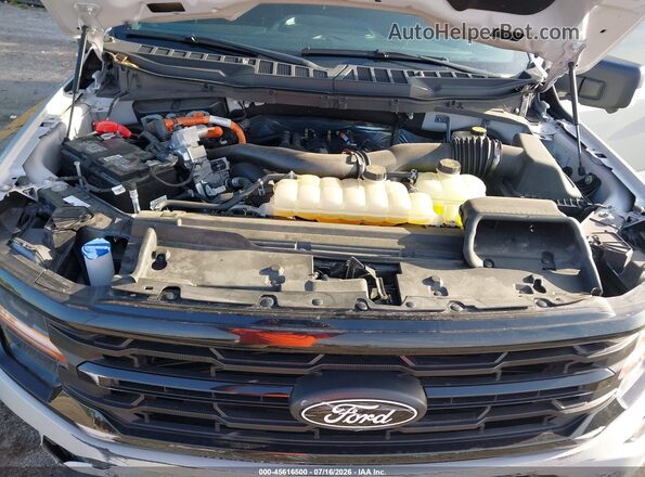 1FTFW3LD2RFB12365 2024 FORD F150 Gray Rear view