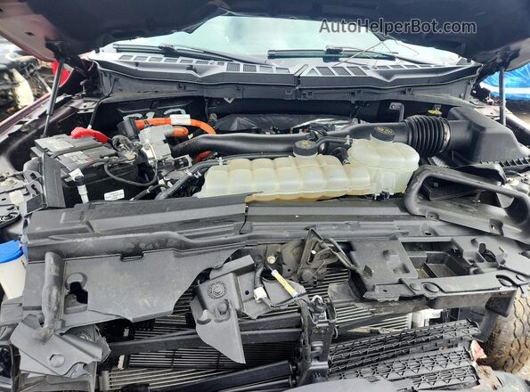 1FTFW3LD2RFB69309 2024 FORD F150 Red Widok wnętrza z tyłu