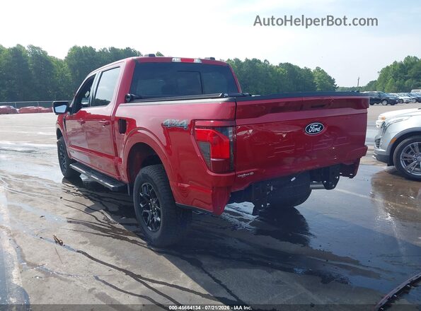 1FTFW3LD2RFB69424 2024 FORD F150 Maroon Tył lewy