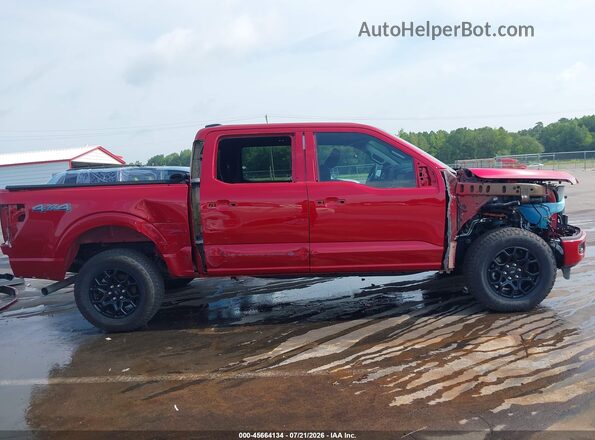 1FTFW3LD2RFB69424 2024 FORD F150 Maroon Widok z przodu