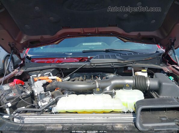 1FTFW3LD2RFB69424 2024 FORD F150 Maroon Widok z tyłu