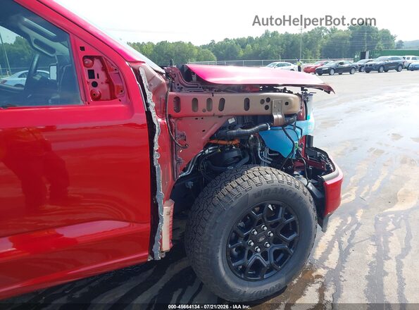 1FTFW3LD2RFB69424 2024 FORD F150 Maroon 