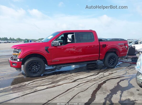 1FTFW3LD2RFB69424 2024 FORD F150 Maroon 