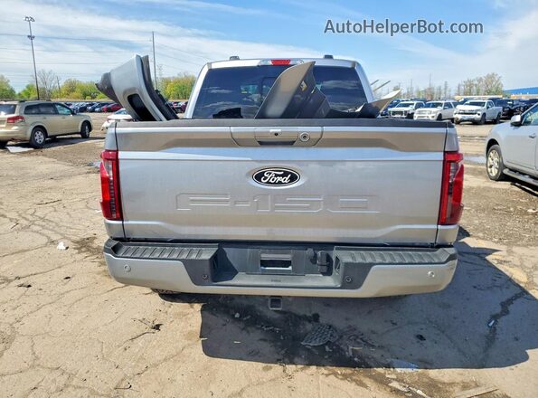 1FTFW3LD2SFA76117 2025 FORD F150 Silver Հետևի տեսք