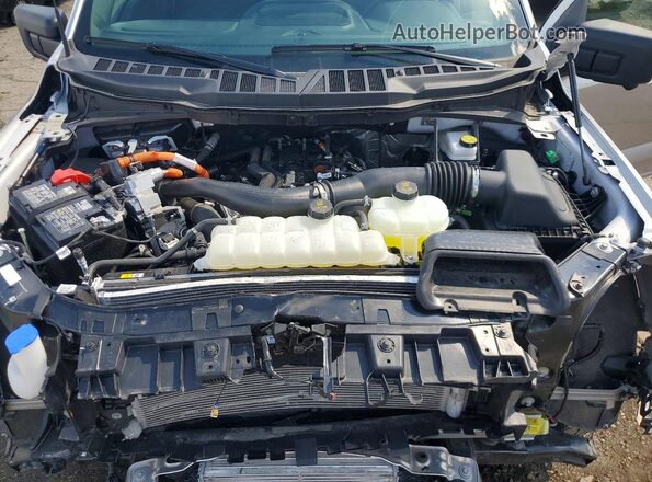 1FTFW3LD2SFA76117 2025 FORD F150 Silver Սալոնի հետևի տեսք