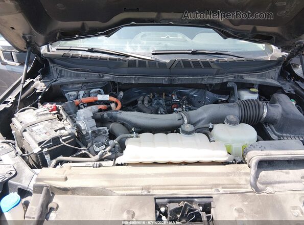 1FTFW3LD3RFA47087 2024 FORD F150 Gray Вид ззаду