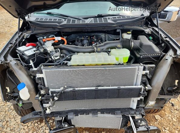 1FTFW3LD3RFB75989 2024 FORD F150 Gray უკანა სალონის ხედი