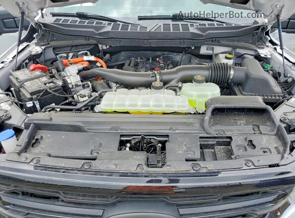 1FTFW3LD3SFC02209 2025 FORD F150 White Սալոնի հետևի տեսք