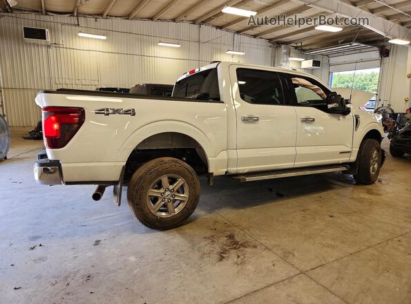 1FTFW3LD4SFA45466 2025 FORD F150 White Հետևի աջ