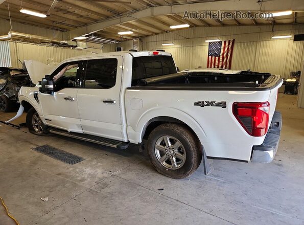 1FTFW3LD4SFA45466 2025 FORD F150 White Հետևի ձախ