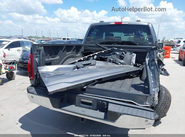 1FTFW3LD5SFA80629 2025 FORD F150 Серый 