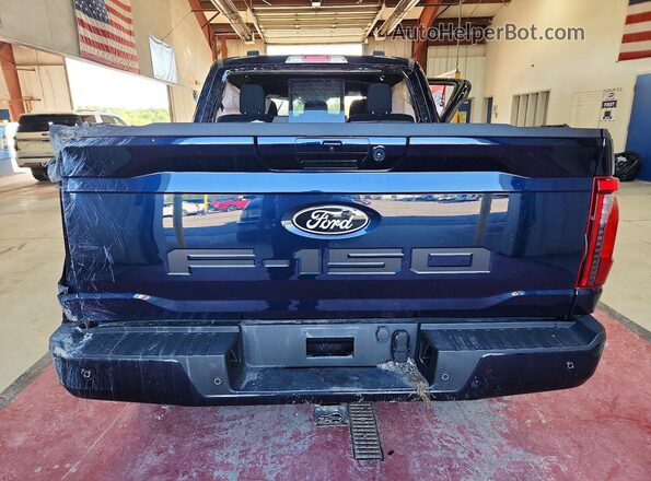 1FTFW3LD6SFB70212 2025 FORD F150 Blue Widok z tyłu