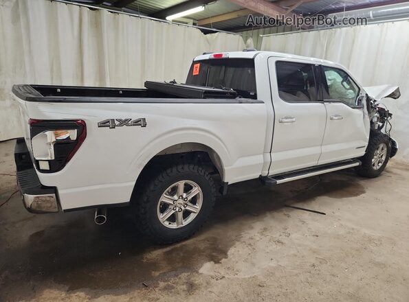 1FTFW3LD7RFA42801 2024 FORD F150 Белый 