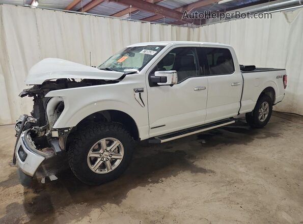 1FTFW3LD7RFA42801 2024 FORD F150 Белый 