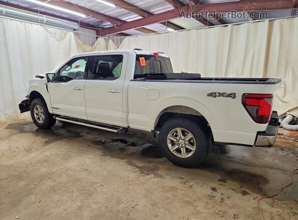 1FTFW3LD7RFA42801 2024 FORD F150 Белый Задняя левая четверть