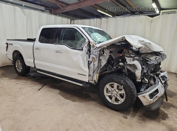 1FTFW3LD7RFA42801 2024 FORD F150 Белый 