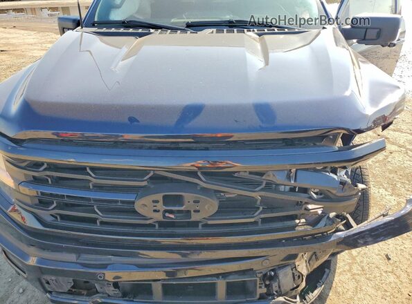 1FTFW3LD7SFA75867 2025 FORD F150 Blue Սալոնի հետևի տեսք