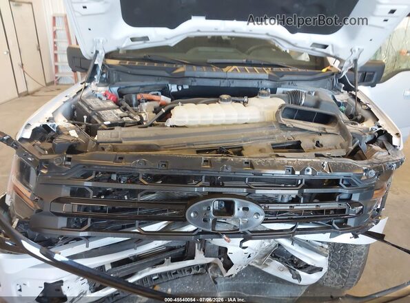 1FTFW3LD8SFA44918 2025 FORD F150 Gray Widok z tyłu