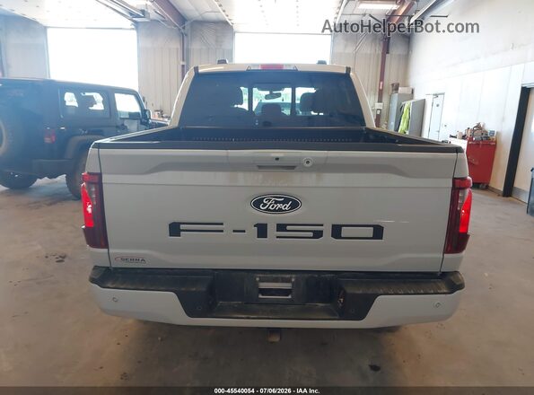 1FTFW3LD8SFA44918 2025 FORD F150 Gray 