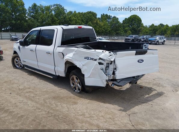 1FTFW3LD8SFB00582 2025 FORD F150 White Trasero izquierdo