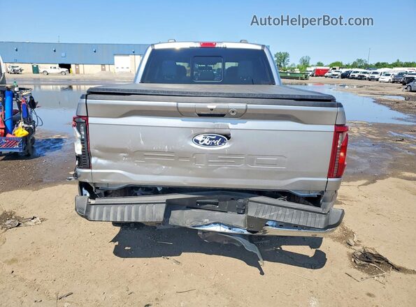 1FTFW3LD8SFC61689 2025 FORD F150 Silver Вид ззаду