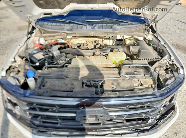 1FTFW3LD9RFA49748 2024 FORD F150 Серый Вид задней части салона
