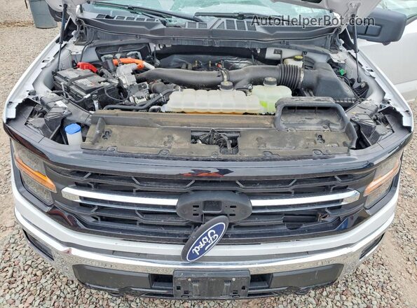 1FTFW3LD9RFA84855 2024 FORD F150 White Սալոնի հետևի տեսք