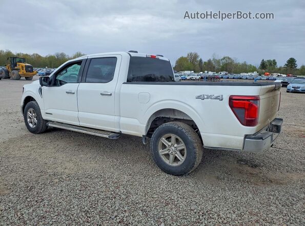 1FTFW3LD9RFA84855 2024 FORD F150 White Հետևի ձախ