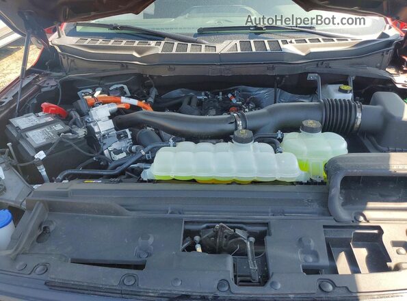 1FTFW3LD9SFC31326 2025 FORD F150 Red Սալոնի հետևի տեսք