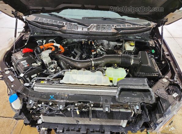 1FTFW3LDXRFA63061 2024 FORD F150 Black Rear interior view