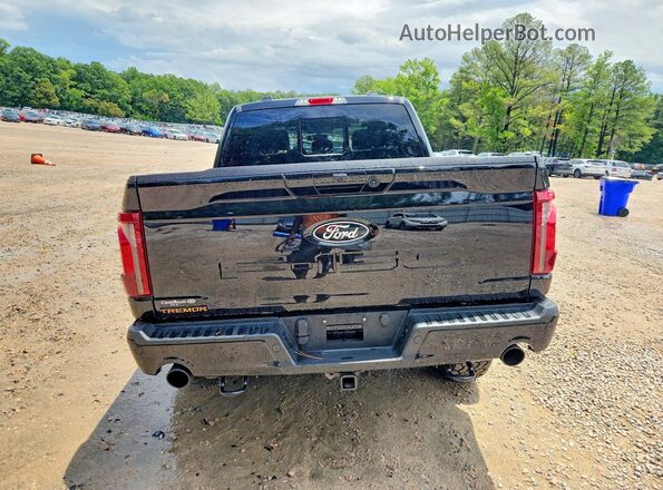 1FTFW4L84SFA27560 2025 FORD F150 Black Հետևի տեսք