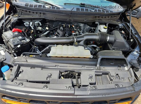 1FTFW4L84SFA27560 2025 FORD F150 Black Սալոնի հետևի տեսք