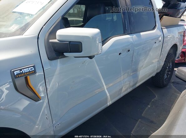 1FTFW4L88RFB53379 2024 FORD F150 Gray Front view