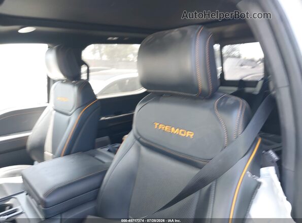 1FTFW4L88RFB53379 2024 FORD F150 Gray 