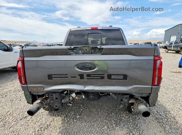 1FTFW4L89RFC16876 2024 FORD F150 Gray უკანა ხედი