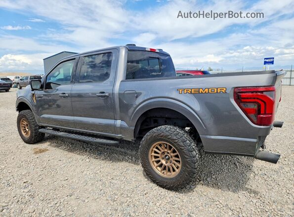 1FTFW4L89RFC16876 2024 FORD F150 Gray უკანა მარცხენა