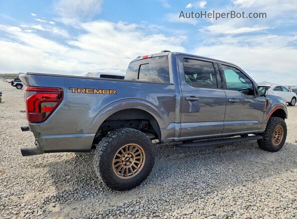 1FTFW4L89RFC16876 2024 FORD F150 Gray უკანა მარჯვენა