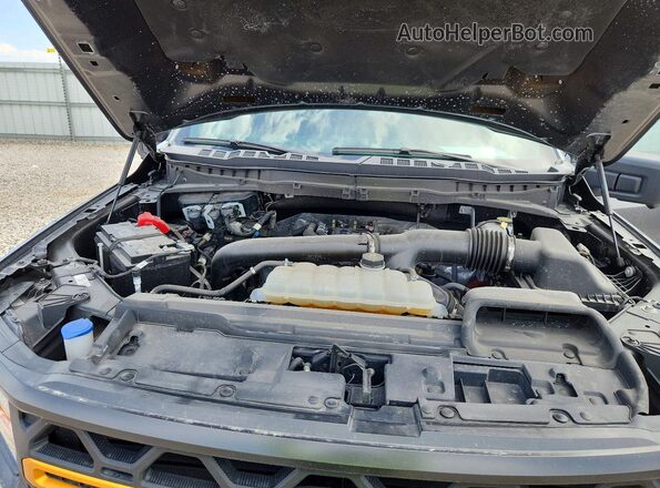 1FTFW4L89RFC16876 2024 FORD F150 Gray უკანა სალონის ხედი