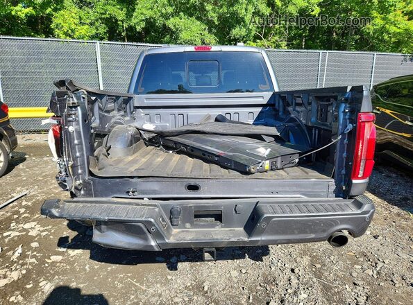 1FTFW5L83SFC28372 2025 FORD F150 Gray უკანა ხედი