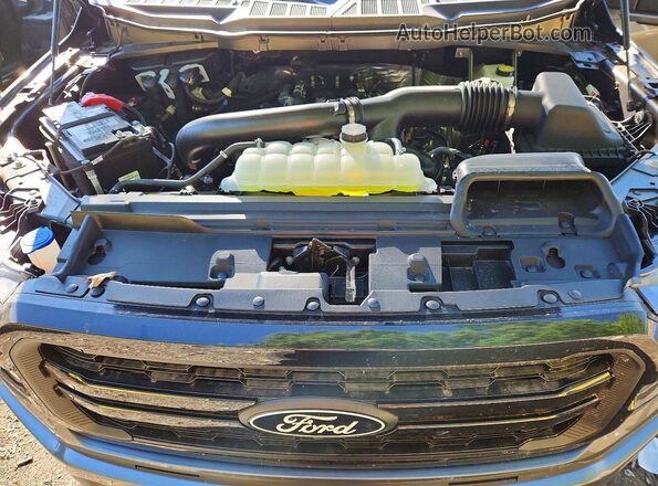 1FTFW5L83SFC28372 2025 FORD F150 Gray უკანა სალონის ხედი