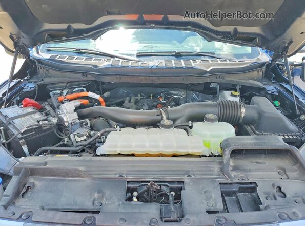 1FTFW5LD1SFB30325 2025 FORD F150 Blue Вид задньої частини салону