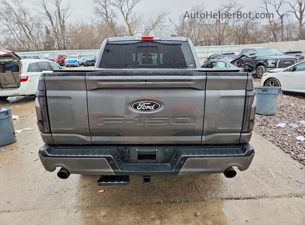 1FTFW5LD3SFB31668 2025 FORD F150 Угольный Вид сзади
